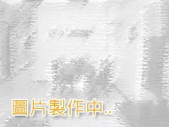 安南區國聖段330坪都內農地-